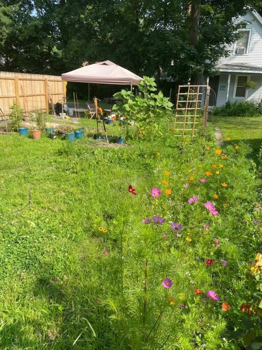 Studio Apt W Garden Kingston Exterior foto